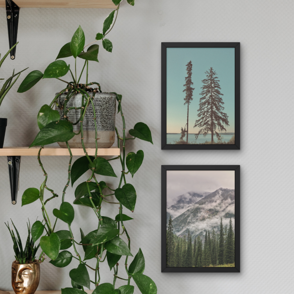 SET OF 2 FRAMES