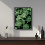 GREEN LEAVES