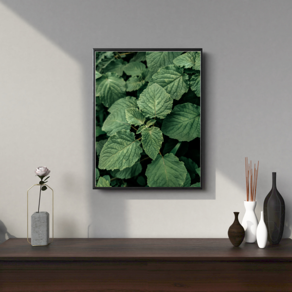GREEN LEAVES