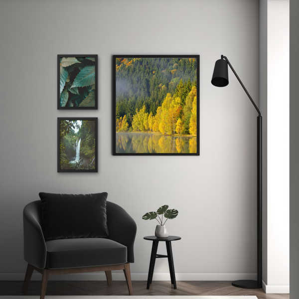 NATURE SET